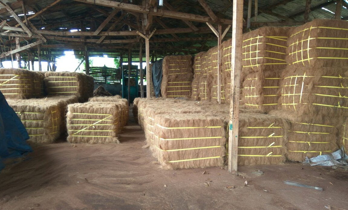 cocofiber 14